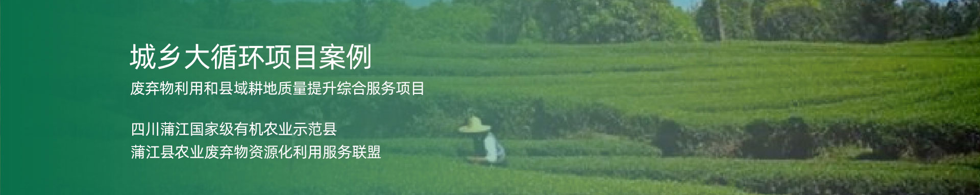 城鄉(xiāng)大循環(huán)項(xiàng)目